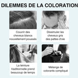 Essence végétale pour la coloration des cheveux